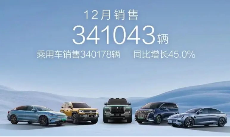 12月新能源品牌终端销量盘点，比亚迪超