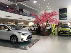 <b>广汽丰田鑫宝丰惊现理疗中心 不可思议的客户体验</b>