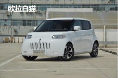 <b>白猫VS奔奔E-Star 谁更能俘获年轻“后浪”的心</b>