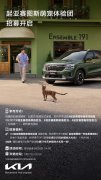 拍萌宠 赢大奖 起亚赛图斯萌宠体验团招