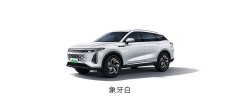 预售17.28万元起 星途瑶光C-DM上市