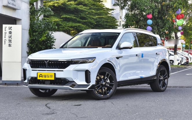 新增空调干燥/离线语音模式等,岚图FR