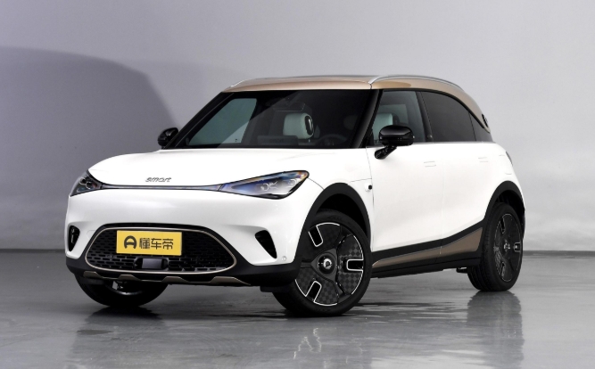 竞争smart精灵#1？国产MINI ACEMAN赛车手版实